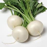 White Turnip Seeds – Heirloom, Non-GMO, High Germination Organic Garden Seeds