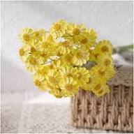 Yellow Chamomile Flower Seeds – Heirloom, Non-GMO, High Germination Organic Garden Seeds