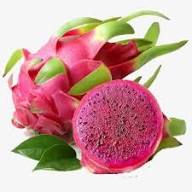 Semillas de pitahaya rosada – Variedad antigua, sin OMG, semillas orgánicas de jardín de alta germinación
