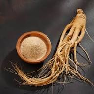 Mixed Organic Ginseng Seeds – Heirloom, Non-GMO, High Germination Organic Garden
