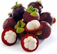 Mangostan Fruit Seeds for Planting – Heirloom Non-GMO High Germination Organic Garden Seeds Seeds for Planting