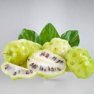Morinda Citrifolia Seeds Heirloom Non-GMO High Germination Organic Garden Seeds for Planting