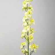 Yellow White Delphinium Mix Seeds for Planting | Heirloom Non-GMO Organic