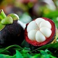 Mangosteen Seeds Organic Heirloom Non-GMO High Germination Organic Garden Seeds for Planting