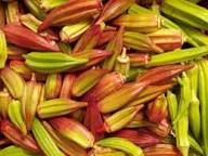 Mixed Okra Seeds – Heirloom, Non-GMO, High Germination Organic Garden Seeds Planting