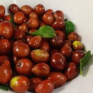 Brown Jujube Seeds Heirloom Non-GMO High Germination Organic Garden Seeds for Planting