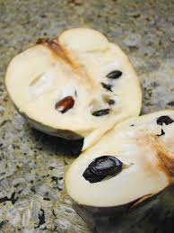 Brown Sicana Seeds Heirloom Non-GMO High Germination Organic Garden Seeds for Planting