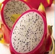 White Dragon Seeds Heirloom Non-GMO High Germination Organic Garden Seeds for Planting