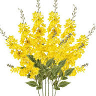 Yellow Delphinium Flower Seeds for Planting – Heirloom, Non-GMO, High Germination