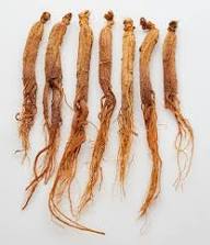Mixed Ginseng Seeds – Heirloom, Non-GMO, High Germination Organic Garden