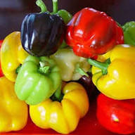 Mixed Capsicum Seeds – Heirloom, Non-GMO, High Germination Organic Garden Seeds Planting