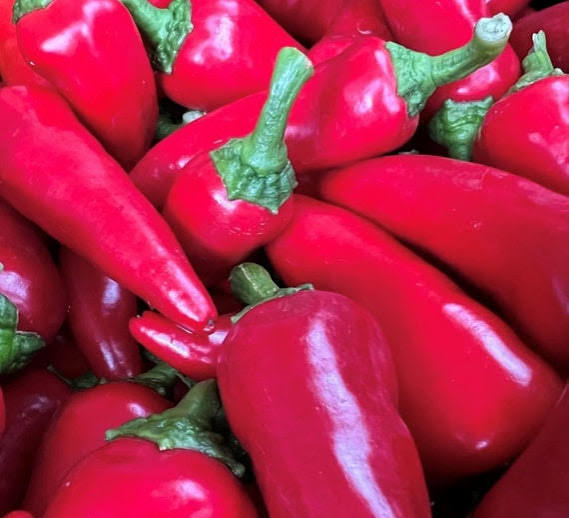 Grow Shishito Pepper garden seeds at home with heirloom, non-GMO planting seeds. High-quality vegetable seeds for fresh, flavorful peppers naturally.