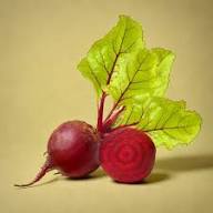 Rote Navette-Samen – Alte Sorte, gentechnikfrei, hohe Keimfähigkeit, Bio-Gartensamen
