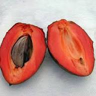 Red Mamey Seeds Heirloom Non-GMO High Germination Organic Garden Seeds for Planting