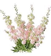 White Pink Snapdragon Flower Seeds Heirloom Non-GMO High Germination Organic Garden Seeds for Planting