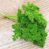 Parsley Plant Seeds Heirloom Non-GMO High Germination Organic Garden Seeds for Planting