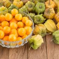 Orange Gooseberry Seeds Heirloom Non-GMO High Germination Organic Garden Seeds for Planting