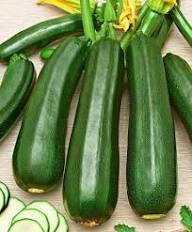 Green Zucchini Seeds for Planting – Heirloom, Non-GMO, High Germination Organic Vegetable Garden Seeds