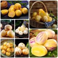 Sugar Gold Pepino Melon Fruit Seeds for Planting – Heirloom Non-GMO High Germination Organic Garden Seeds