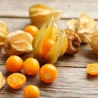Orange Gooseberry Seeds Heirloom Non-GMO High Germination Organic Garden Seeds for Planting