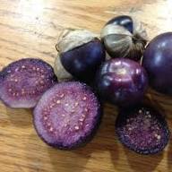 Tomatillo Seeds Purple – Heirloom, Non-GMO, High Germination Organic Garden Seeds for Planting