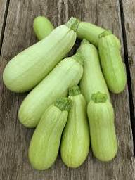 Homs Kousa Squash Seeds – Heirloom, Non-GMO, High Germination Organic Garden Seeds