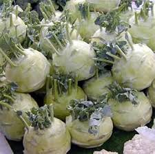 Mixed Kohlrabi Seeds – Heirloom Non-GMO High Germination Organic Garden Seeds for Planting