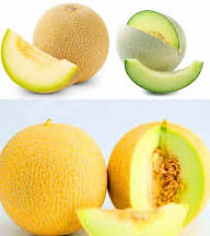 Yellow Galia Melon Seeds Heirloom Non-GMO High Germination Organic Garden Seeds for Planting
