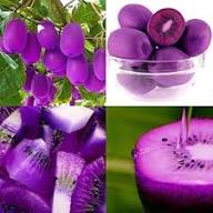 Purple Kiwi Fruit Seeds for Planting – Heirloom Non-GMO High Germination Organic Garden Seeds for Tangy Nutrient-Packed Tropical Fruits