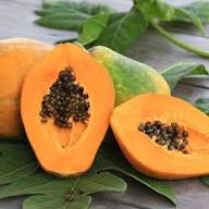 Maradol Mexican Papaya Fruit Seeds for Planting Heirloom Non-GMO High Germination Organic Garden Seeds Sweet Juicy Tropical Fruits