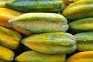 Babaco Papaya Seeds for Planting – Exotic Tropical Fruit Tree Heirloom Non-GMO Organic Seeds