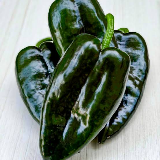 Poblano-Pfeffersamen zum Pflanzen – Alte Sorte, gentechnikfreies Gemüsegarten-Saatgut