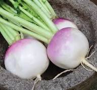Turnip Seeds – Heirloom Non-GMO High Germination Organic Garden Seeds