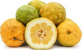 Giant Rough Lemon Fruit Seeds for Planting – Hardy Drought-Tolerant Citrus Heirloom Non-GMO High Germination Organic Garden Seeds