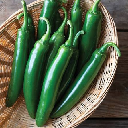 Gelbe Chilisamen – Alte Sorte, gentechnikfrei, hohe Keimrate, Bio-Gartensamen zur Pflanzung