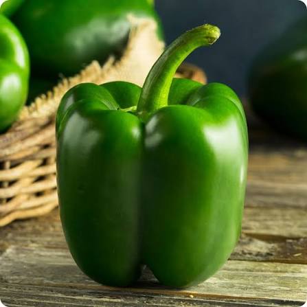 Chocolate Beauty Bell Pepper Seeds for Planting | Heirloom Non-GMO
