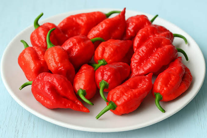 Semillas de Pimiento Amarillo – Cimarrón, No-Transgénicas, Alta Germinación, Semillas Orgánicas para Jardín