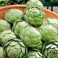 Artichoke Green Seeds – Heirloom Non-GMO High Germination Organic Garden Seeds