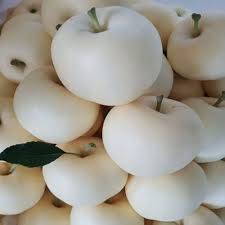 Apple Seeds White Heirloom Non-GMO High Germination Organic Garden Seeds for Planting