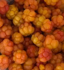 Cloudberry Seeds Yellow Heirloom Non-GMO High Germination Organic Garden Seeds for Planting