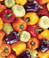 Mixed Hot Pepper Seeds Heirloom Non-GMO High Germination Organic Garden Seeds for Planting