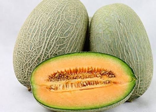 Chinese Hami Melon Fruit Seeds for Planting – Heirloom Non-GMO High Germination Organic Garden Seeds