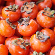 Red Diospyros (Persimmon) Fruit Seeds for Planting – Heirloom, Non-GMO, High Germination Organic Garden Seeds for Sweet Soft Persimmons