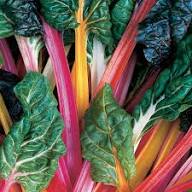 Chard Mixed Seeds – Heirloom, Non-GMO, High Germination Organic Garden Seeds Planting