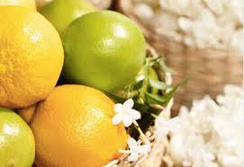 Orange Bergamot Seeds Heirloom Non-GMO High Germination Organic Garden Seeds for Planting
