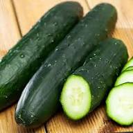 Cucumber Seeds – Heirloom Non-GMO High Germination Organic Garden Seeds for Planting