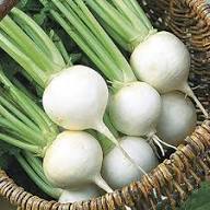 White Turnip Seeds – Heirloom, Non-GMO, High Germination Organic Garden Seeds