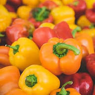 Mixed Capsicum Seeds – Heirloom, Non-GMO, High Germination Organic Garden Seeds Planting