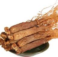 Mixed Ginseng Seeds – Heirloom, Non-GMO, High Germination Organic Garden