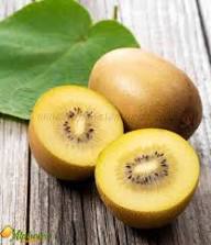 Golden Yellow Kiwi Fruit Seeds for Planting – Heirloom Non-GMO High Germination Organic Garden Seeds Sweet Tangy Yellow Kiwi Seeds for Home Garden